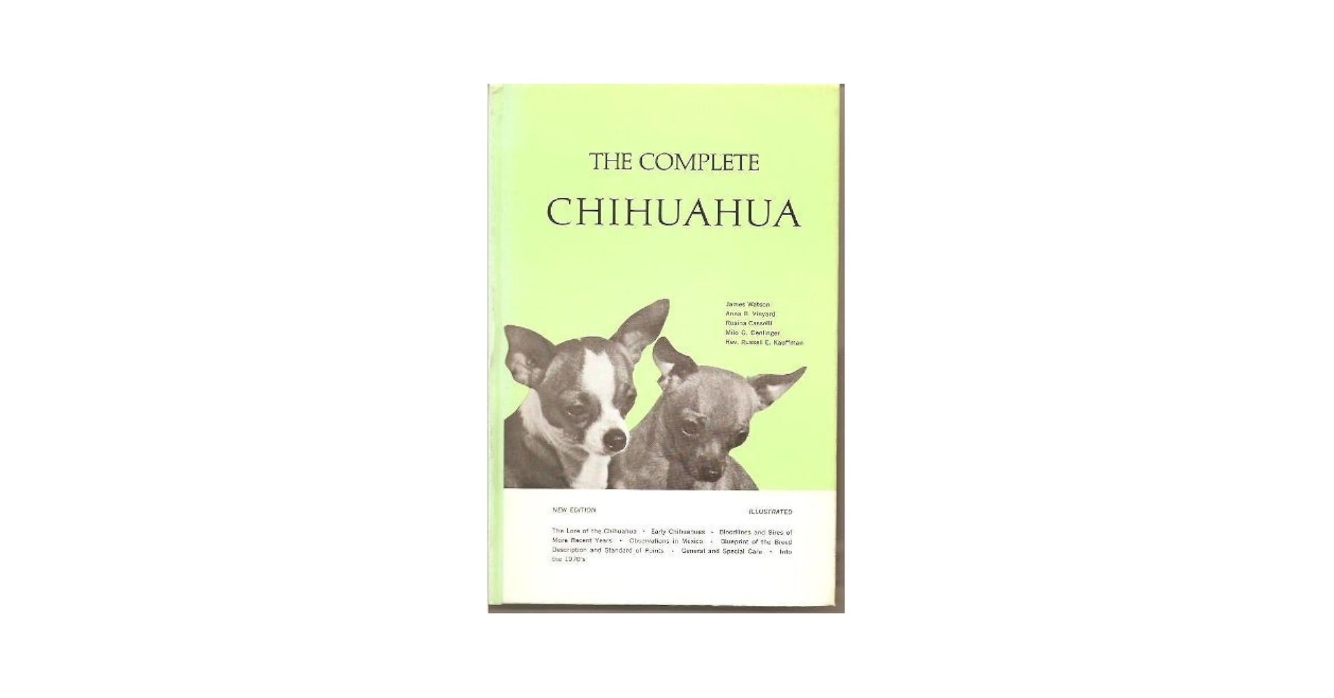 語学・辞書・学習参考書 chihua 語学・辞書・学習参考書 chihua